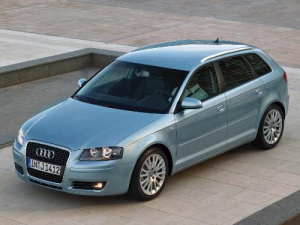 Audi A3 (8PA) 2004 - 2013